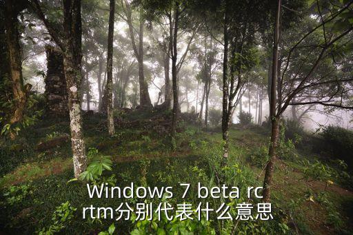 Windows 7 beta rc rtm分別代表什么意思