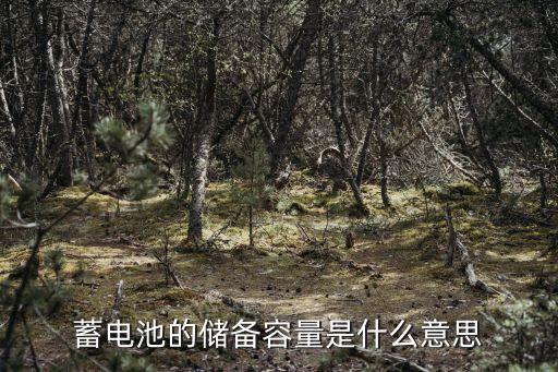 蓄電池的儲(chǔ)備容量是什么意思