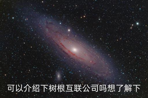 可以介紹下樹根互聯(lián)公司嗎想了解下