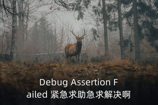Debug Assertion Failed 緊急求助急求解決啊