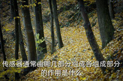 傳感器通常由哪幾部分組成各組成部分的作用是什么