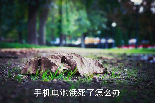 手機(jī)電池餓死了怎么辦