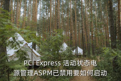 電源管理系統(tǒng)，聯(lián)想筆記本電腦電源管理