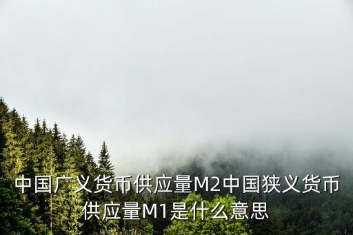 中國廣義貨幣供應(yīng)量M2中國狹義貨幣供應(yīng)量M1是什么意思