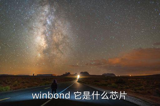 winbond 它是什么芯片