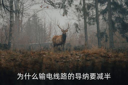 為什么輸電線路的導(dǎo)納要減半