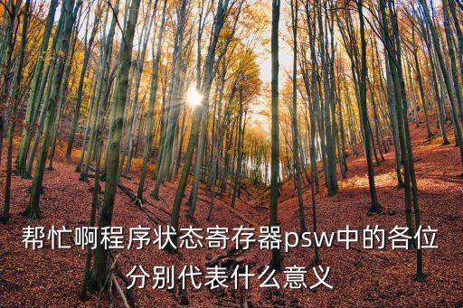 幫忙啊程序狀態(tài)寄存器psw中的各位分別代表什么意義