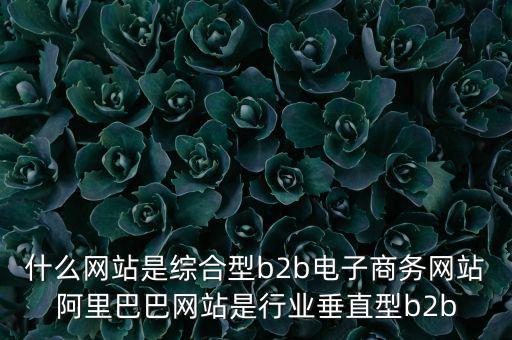 什么網(wǎng)站是綜合型b2b電子商務(wù)網(wǎng)站阿里巴巴網(wǎng)站是行業(yè)垂直型b2b