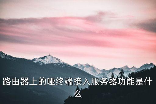 路由器上的啞終端接入服務(wù)器功能是什么