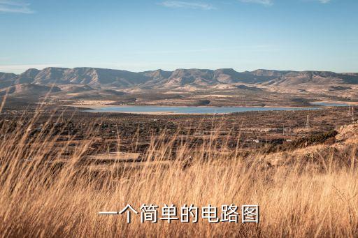 一個(gè)簡(jiǎn)單的電路圖