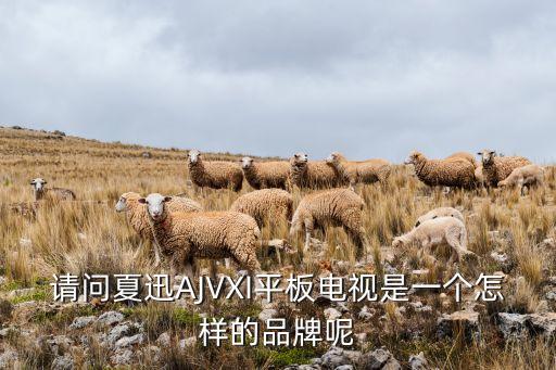 請問夏迅AJVXI平板電視是一個怎樣的品牌呢