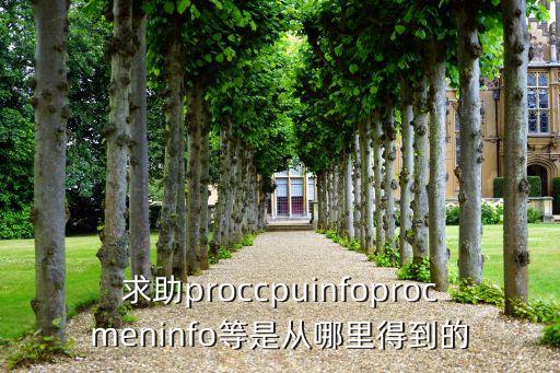 求助proccpuinfoprocmeninfo等是從哪里得到的