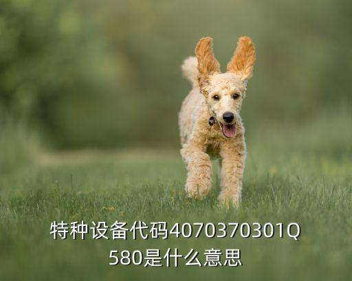 4070，集成4070是什么集成
