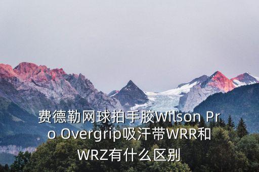 費德勒網(wǎng)球拍手膠Wilson Pro Overgrip吸汗帶WRR和WRZ有什么區(qū)別