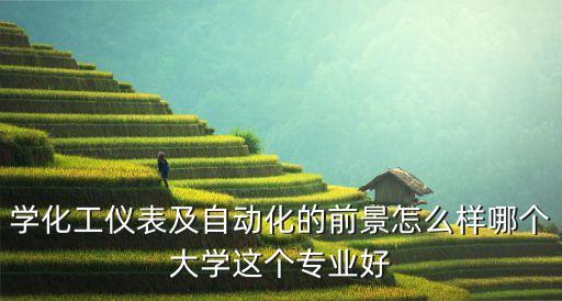 化工儀表及自動(dòng)化，學(xué)化工儀表及自動(dòng)化的前景怎么樣哪個(gè)大學(xué)這個(gè)專業(yè)好