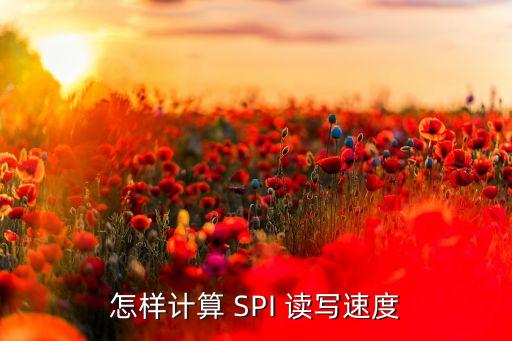 怎樣計算 SPI 讀寫速度