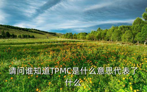 請問誰知道TPMC是什么意思代表了什么