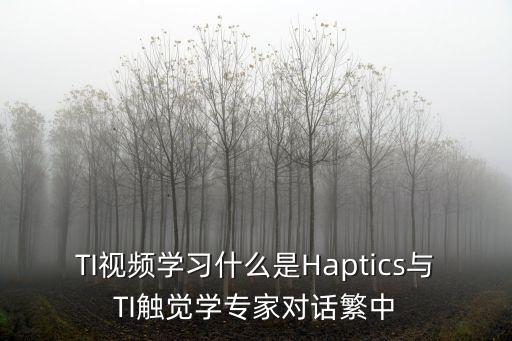 TI視頻學(xué)習(xí)什么是Haptics與TI觸覺學(xué)專家對話繁中