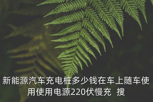 新能源汽車充電樁多少錢在車上隨車使用使用電源220伏慢充  搜