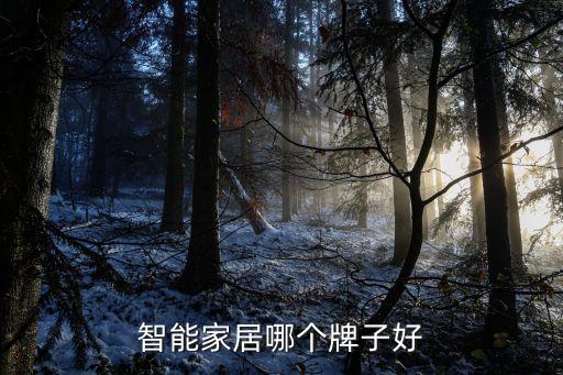 智能家居哪個(gè)牌子好