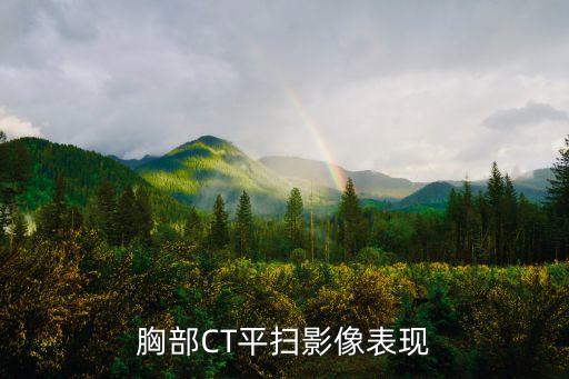 ct影像，胸部CT平掃影像表現(xiàn)
