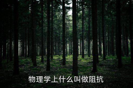物理學(xué)上什么叫做阻抗