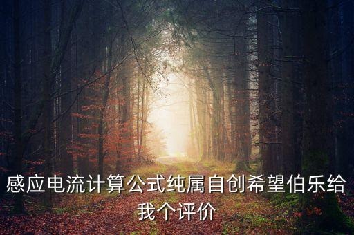 感應(yīng)電流計(jì)算公式純屬自創(chuàng)希望伯樂給我個評價