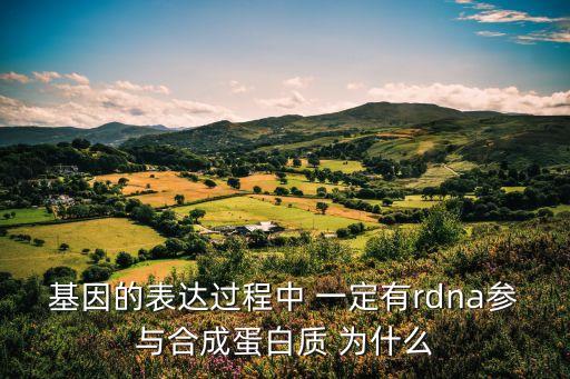 基因的表達(dá)過程中 一定有rdna參與合成蛋白質(zhì) 為什么