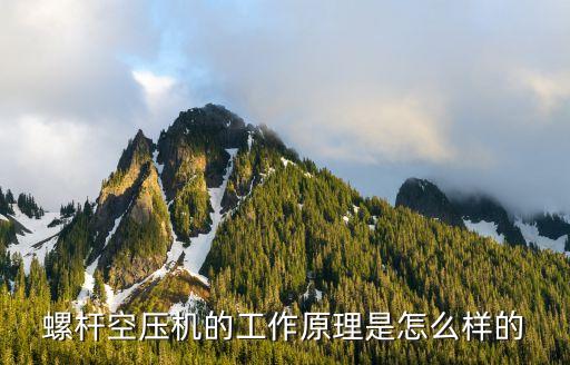 螺桿空壓機(jī)的工作原理是怎么樣的