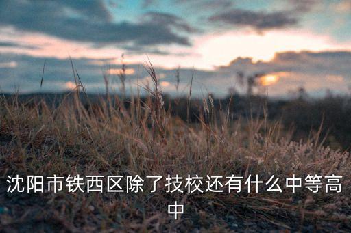 沈陽市鐵西區(qū)除了技校還有什么中等高中