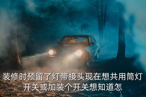 裝修時預(yù)留了燈帶接頭現(xiàn)在想共用筒燈開關(guān)或加裝個開關(guān)想知道怎