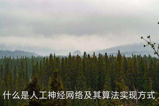 什么是人工神經(jīng)網(wǎng)絡(luò)及其算法實(shí)現(xiàn)方式