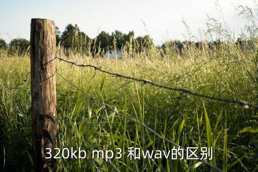 wav和mp3，WAV和MP3哪個(gè)音質(zhì)好