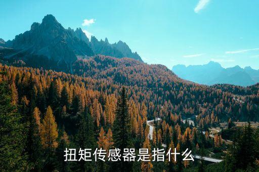 轉(zhuǎn)矩轉(zhuǎn)速傳感器，磁電式轉(zhuǎn)矩傳感器是由哪些原理組成