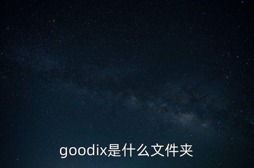 goodix，goodix是什么意思呀