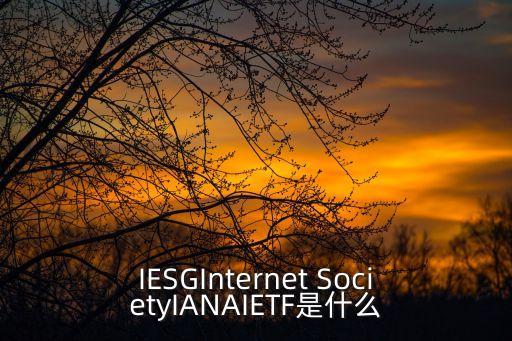 IESGInternet SocietyIANAIETF是什么