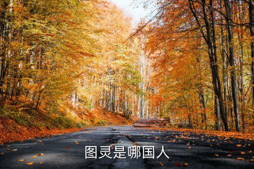 圖靈量子，圖靈是哪國人