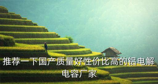 推薦一下國(guó)產(chǎn)質(zhì)量好性價(jià)比高的鋁電解電容廠家