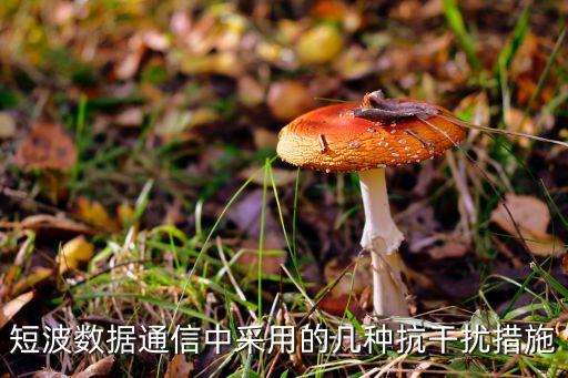 短波數(shù)據(jù)通信中采用的幾種抗干擾措施