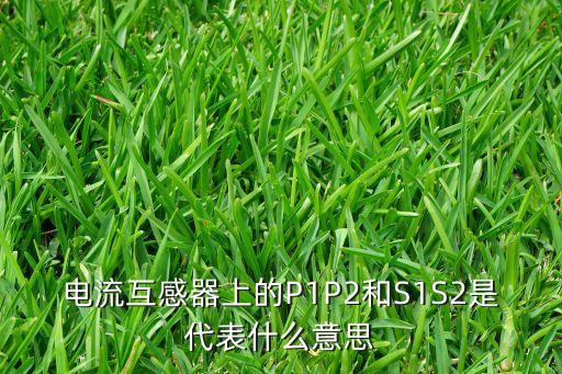 電流互感器上的P1P2和S1S2是代表什么意思