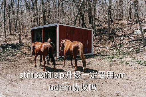 Ymodem協(xié)議，stm32的iap升級一定要用ymodem協(xié)議嗎