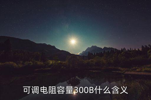 可調(diào)電阻容量300B什么含義