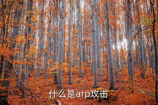 什么是arp攻擊