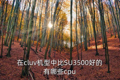 在cluv機(jī)型中比SU3500好的有哪些cpu