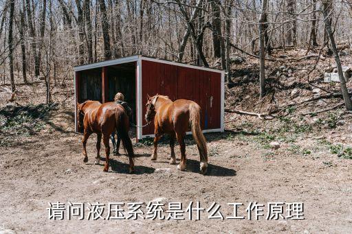 請問液壓系統(tǒng)是什么工作原理