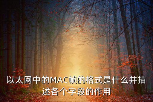 以太網(wǎng)中的MAC幀的格式是什么并描述各個字段的作用
