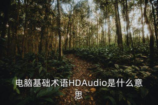 電腦基礎(chǔ)術(shù)語HDAudio是什么意思