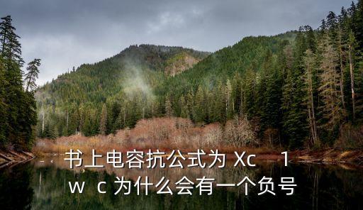 書上電容抗公式為 Xc    1  w  c 為什么會有一個負號
