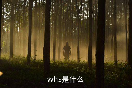 whs是什么