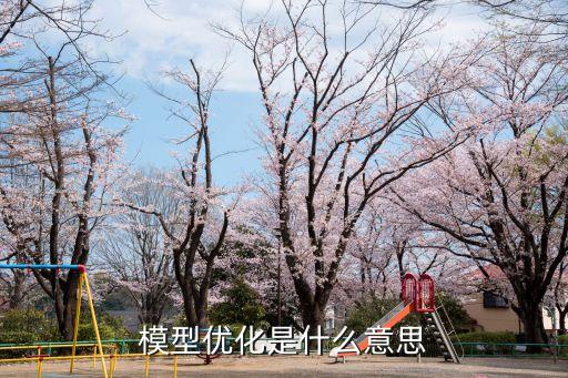 模型優(yōu)化是什么意思